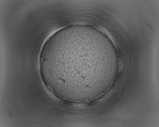 X0000116580795200912241653