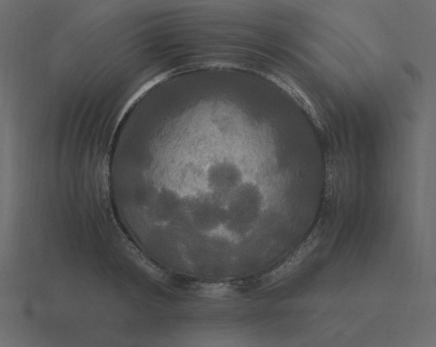 X0000116580798200912241653