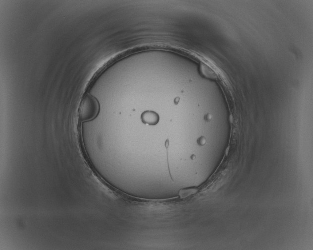 X0000116580799200912241653