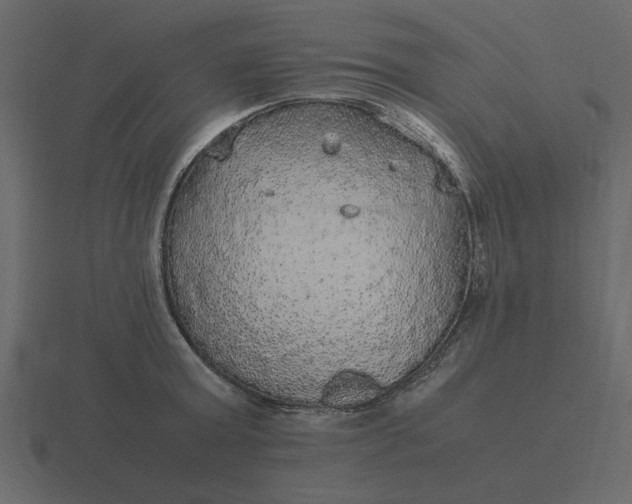 X0000116580803200912241653