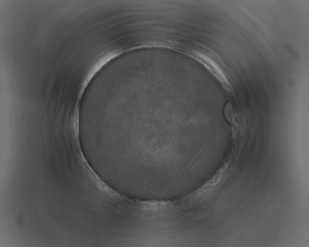 X0000116580804200912241653