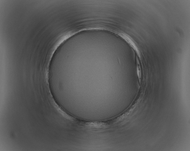 X0000116580805200912241653