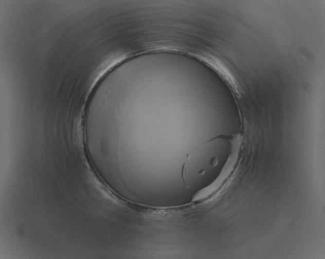 X0000116580806200912241653