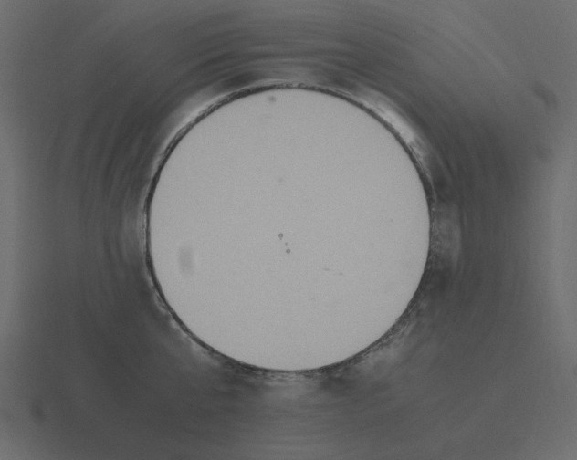 X0000116580807200912241653