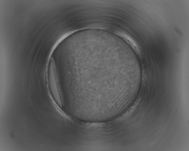 X0000116580808200912241653