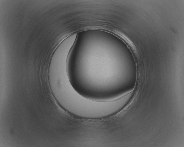 X0000116580809200912241653