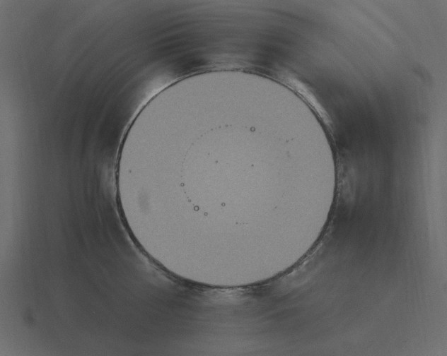 X0000116580810200912241653