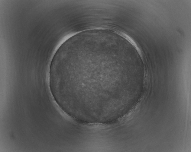 X0000116580811200912241653