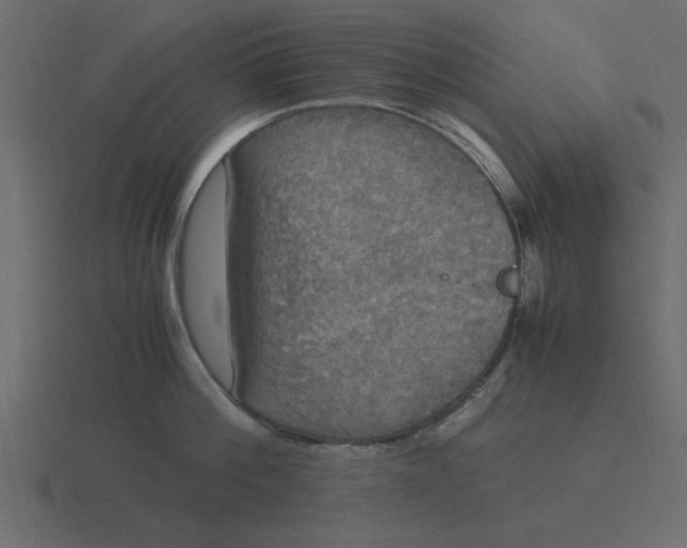 X0000116580812200912241653