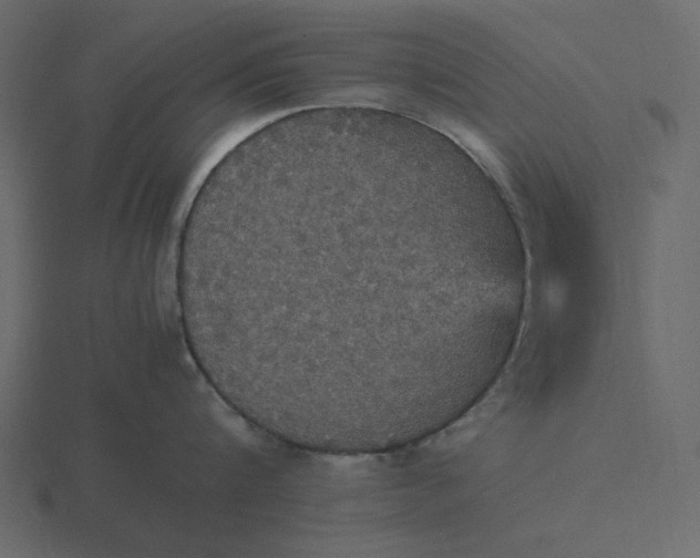 X0000116580816200912241653