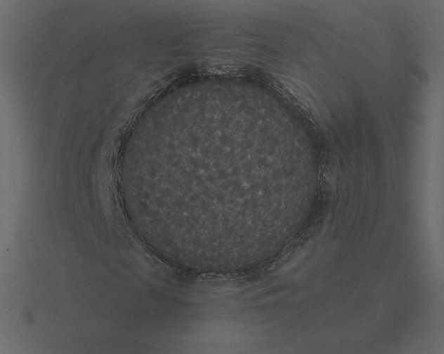 X0000116580817200912241652