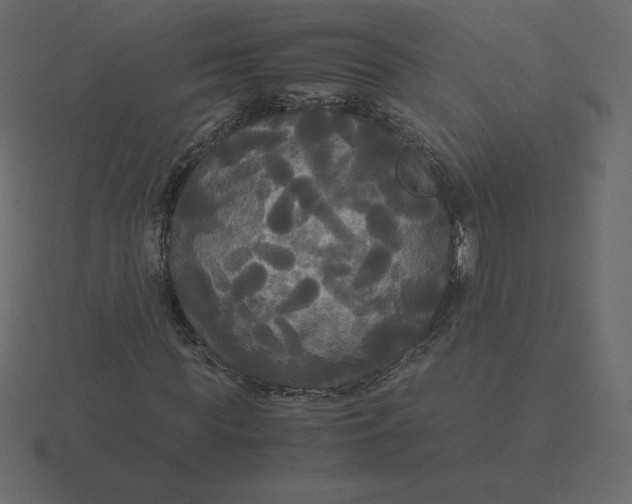 X0000116580819200912241652