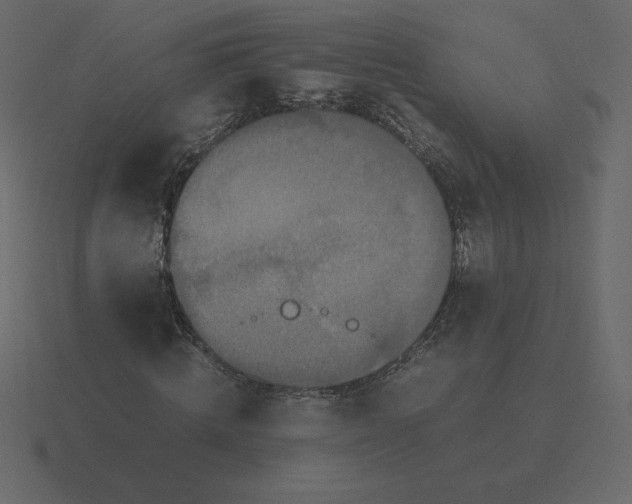 X0000116580820200912241652