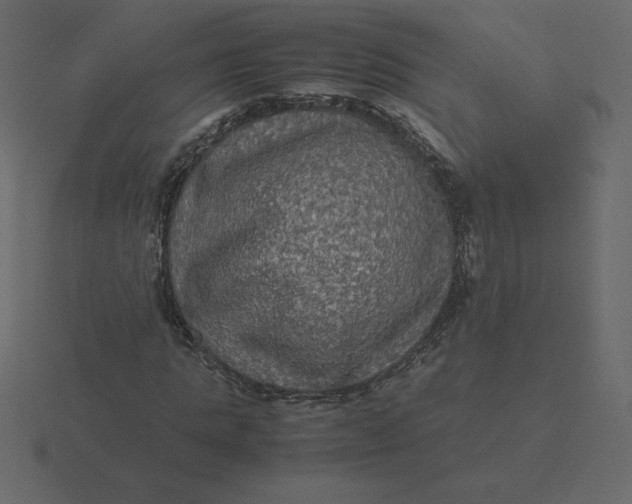 X0000116580821200912241652