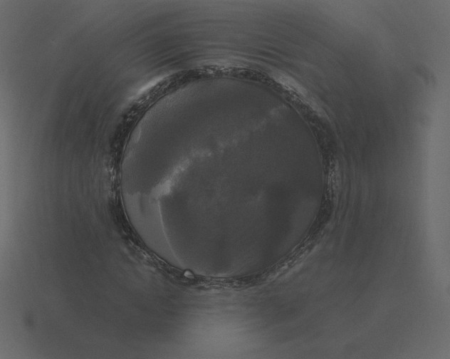 X0000116580822200912241652