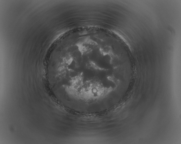 X0000116580823200912241652