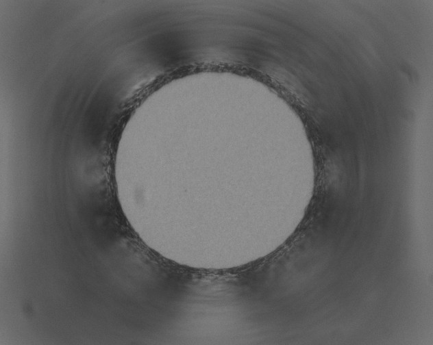 X0000116580824200912241652