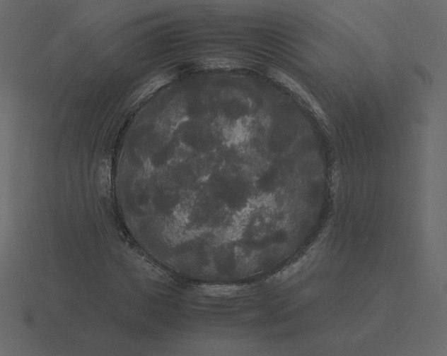 X0000116580825200912241652