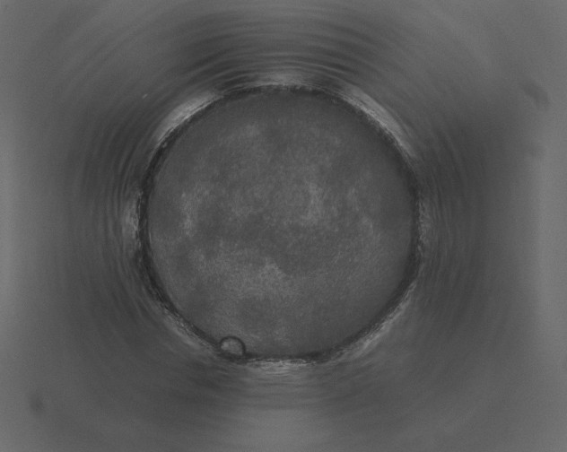 X0000116580826200912241652