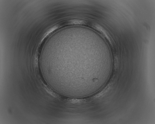 X0000116580827200912241652