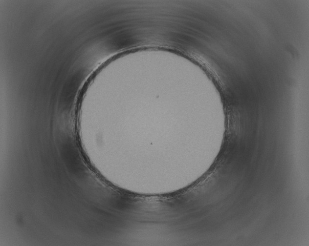 X0000116580828200912241652