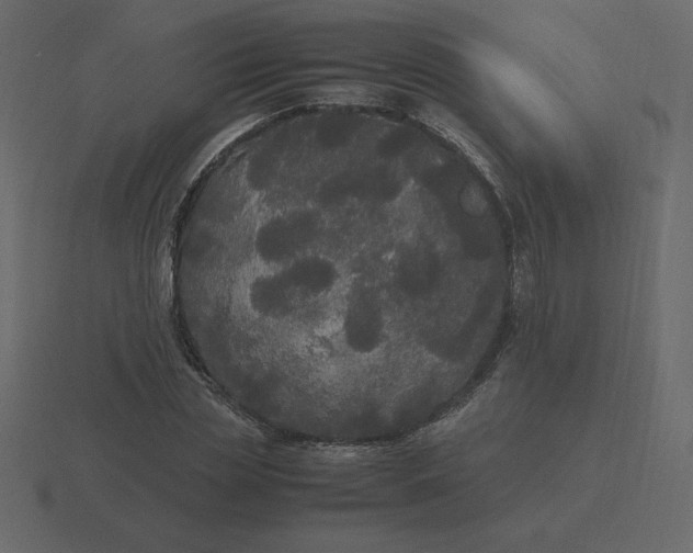 X0000116580829200912241652