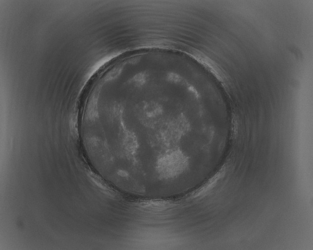 X0000116580830200912241652