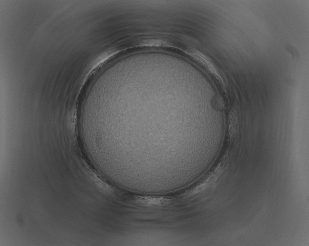 X0000116580831200912241652