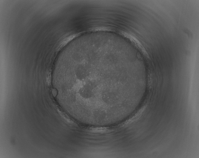 X0000116580833200912241652