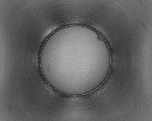 X0000116580834200912241652