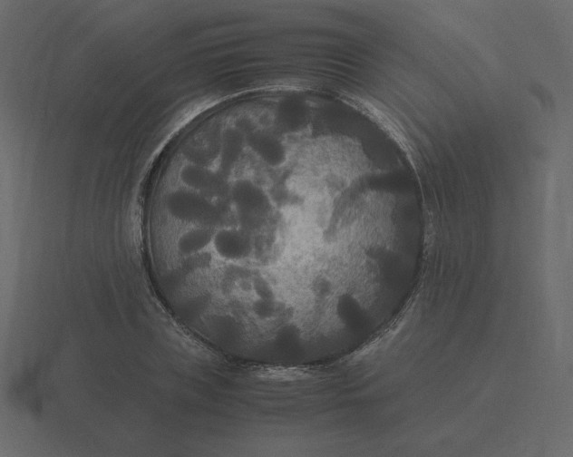 X0000116580835200912241652