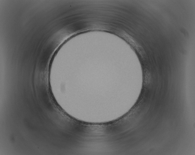 X0000116580836200912241652