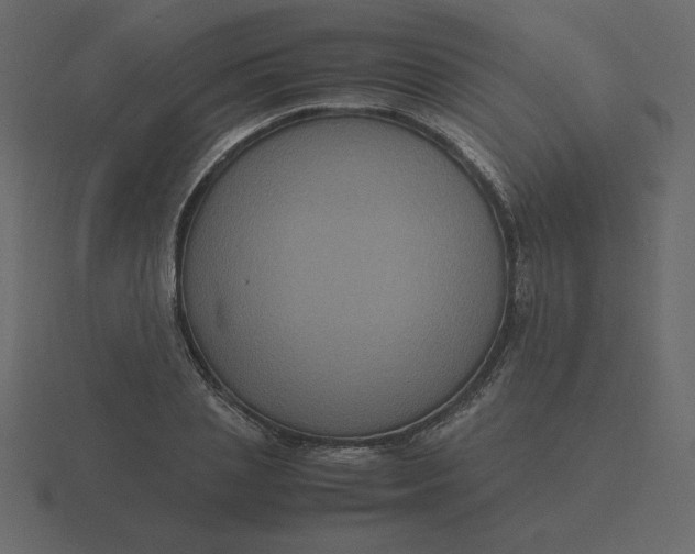 X0000116580837200912241652