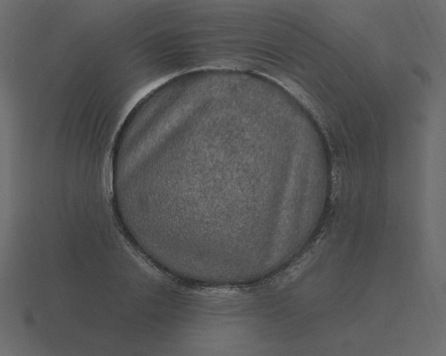 X0000116580838200912241652