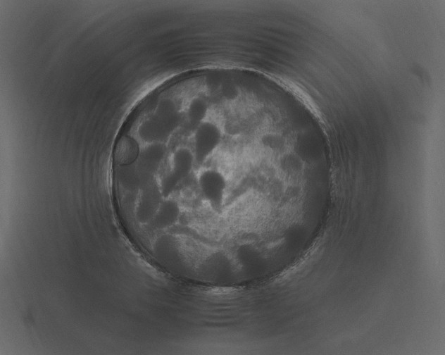 X0000116580839200912241652