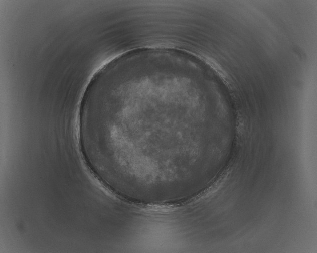 X0000116580840200912241652