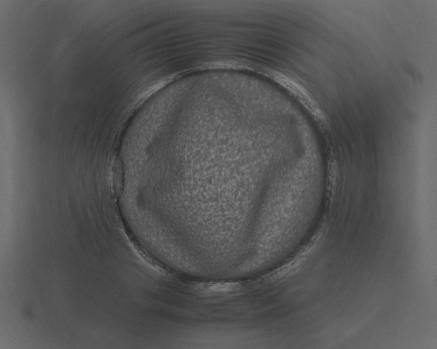 X0000116580841200912241652