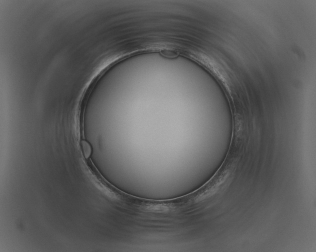 X0000116580843200912241652