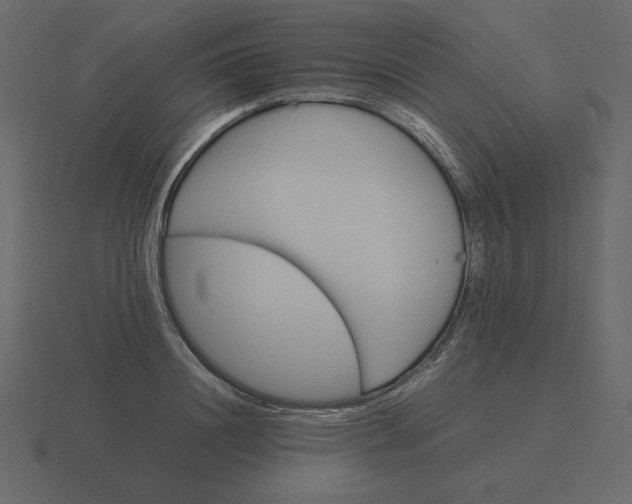 X0000116580844200912241652