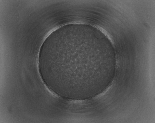 X0000116580845200912241652