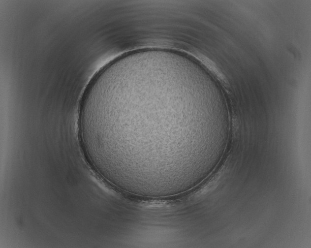 X0000116580846200912241652