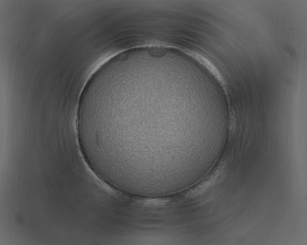 X0000116580847200912241653