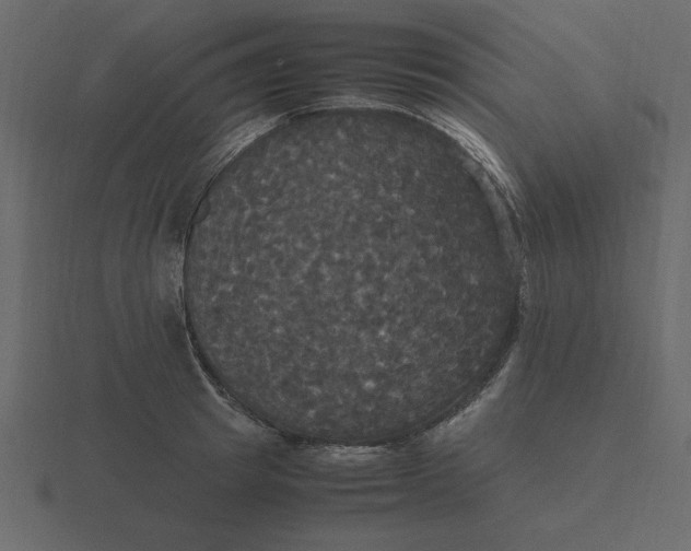 X0000116580849200912241653