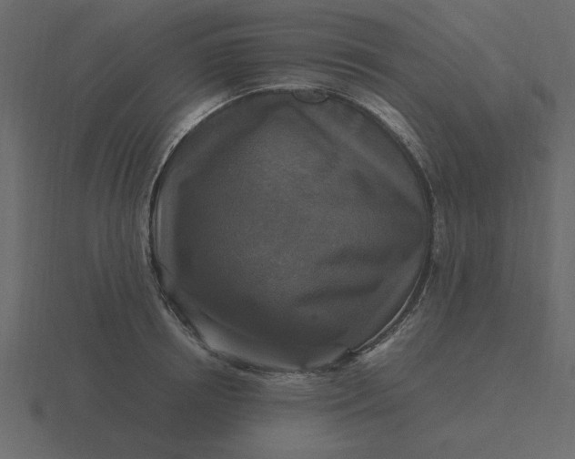 X0000116580850200912241653