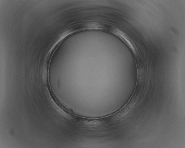 X0000116580851200912241653