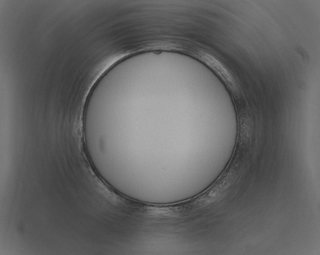 X0000116580852200912241653