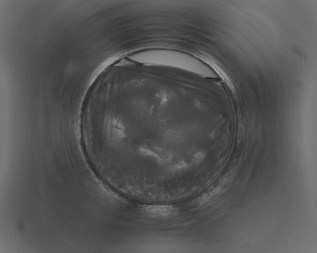 X0000116580853200912241653