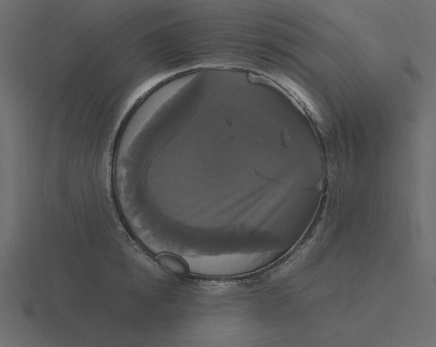 X0000116580854200912241653