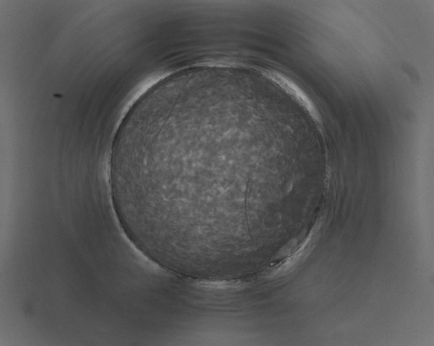 X0000116580855200912241653