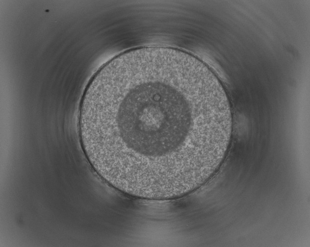 X0000116580856200912241653